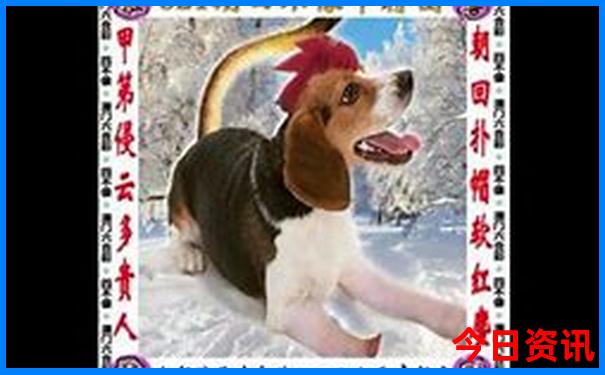 黄龙景区玩几个小时